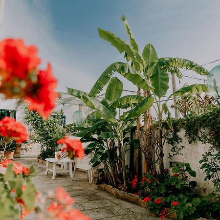 Masseria Agriturismo Il Sorriso Degli Ulivi - Dimora Di Charme 加利波利 外观 照片