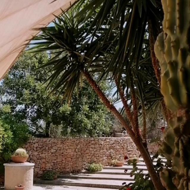Masseria Agriturismo Il Sorriso Degli Ulivi - Dimora Di Charme 加利波利 外观 照片