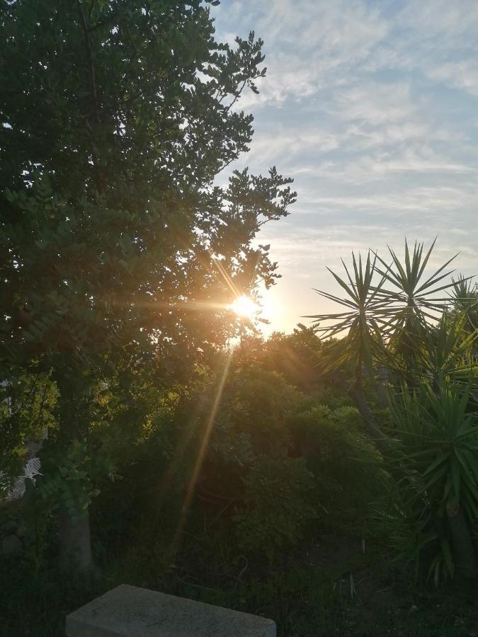 Masseria Agriturismo Il Sorriso Degli Ulivi - Dimora Di Charme 加利波利 外观 照片