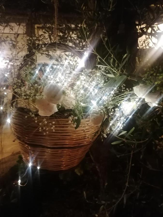 Masseria Agriturismo Il Sorriso Degli Ulivi - Dimora Di Charme 加利波利 外观 照片