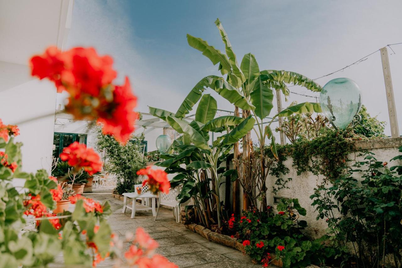 Masseria Agriturismo Il Sorriso Degli Ulivi - Dimora Di Charme 加利波利 外观 照片