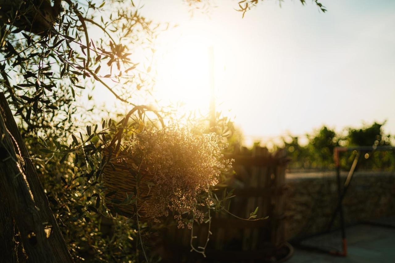 Masseria Agriturismo Il Sorriso Degli Ulivi - Dimora Di Charme 加利波利 外观 照片