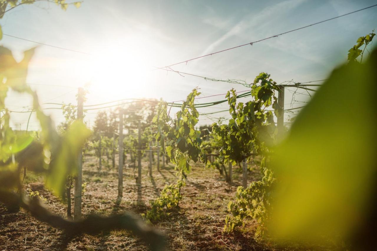 Masseria Agriturismo Il Sorriso Degli Ulivi - Dimora Di Charme 加利波利 外观 照片