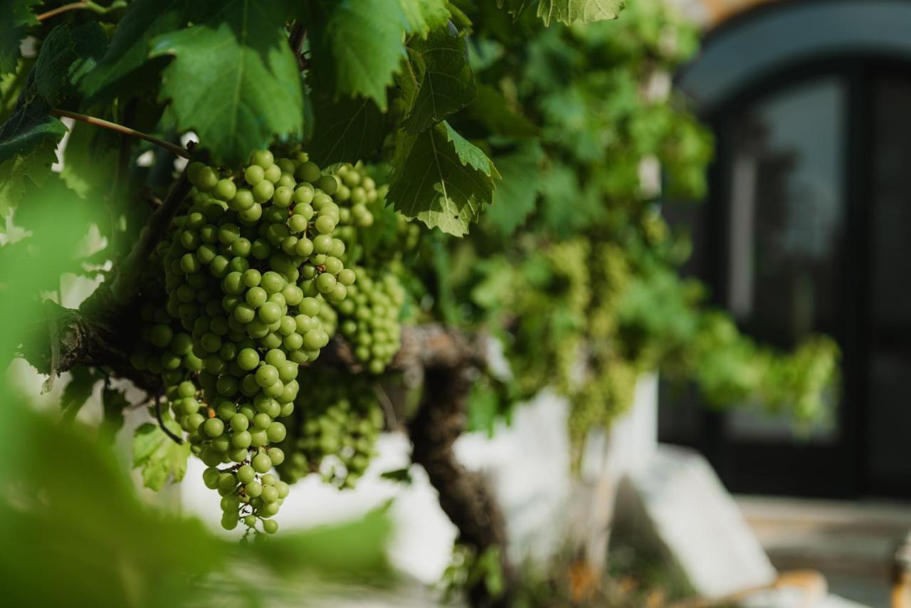 Masseria Agriturismo Il Sorriso Degli Ulivi - Dimora Di Charme 加利波利 外观 照片
